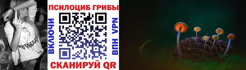 Псилоцибиновые грибы прущие грибы  Острогожск 
